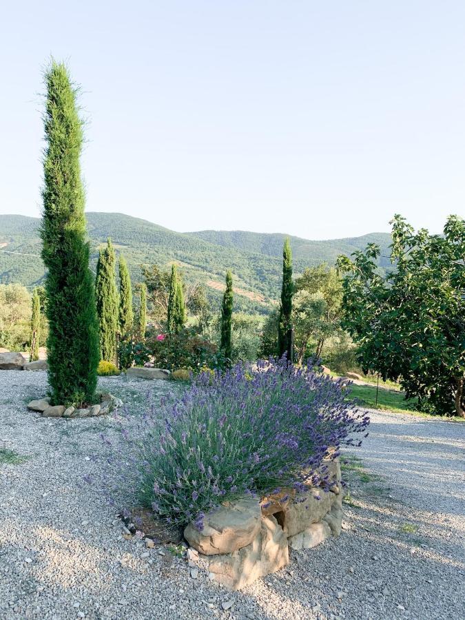 Villa Montanare Cortona Exterior photo