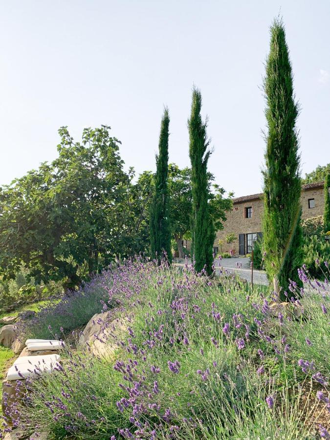 Villa Montanare Cortona Exterior photo