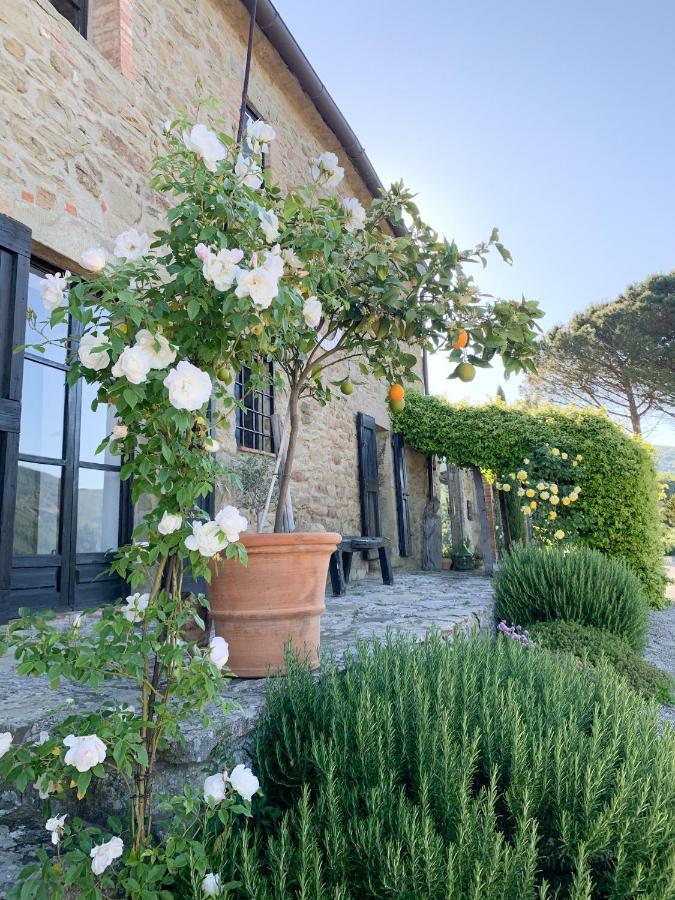 Villa Montanare Cortona Exterior photo